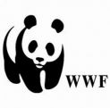 WWF